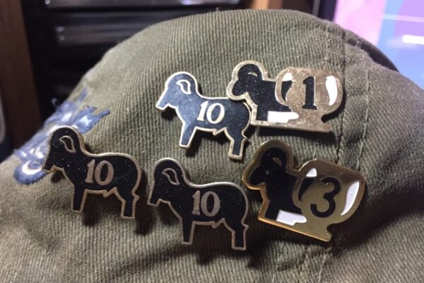 rbrawardpins-pic2