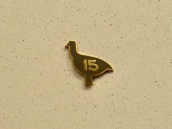 15X15 Pins