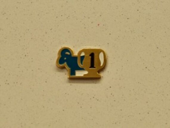 1st Place Pin