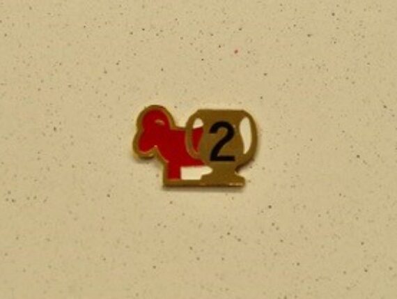 2nd Place Pin