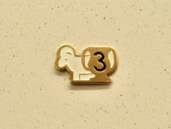 3rd Place Pin