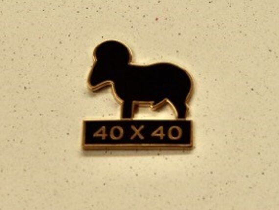 40 X 40