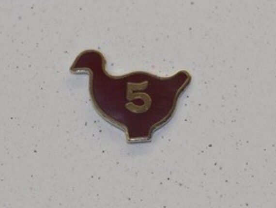 5 in a Row Chickens