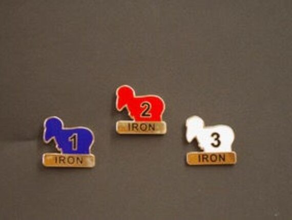 Iron Pins