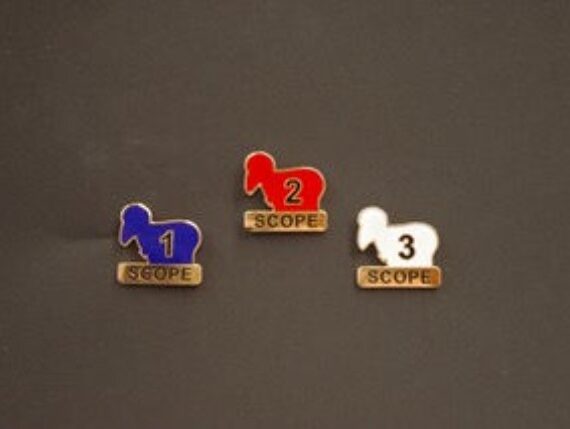 Scope Pins